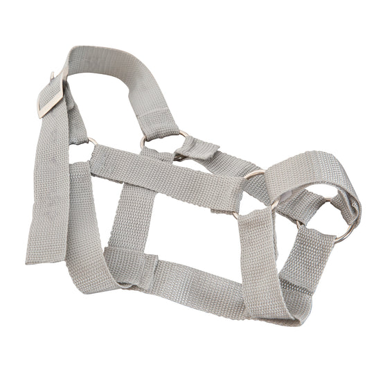 Accessory Set for Outdoor Rocking Horses 'roba Style' - Blanket & Halter - Pink – Cutout (7/7)